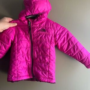 The North Face Kids Puffer Jacket - Vibrant Pink